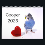 Cooper the Budgie 2025 Calendar<br><div class="desc">Spend 2025 with Cooper!
Any money made from Cooper's Calendar (after Zazzle takes its cut) will go to Cooper's favorite bird rescues.</div>