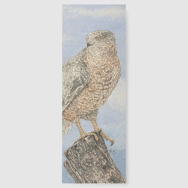 Cooper's Hawk Bookmark (Front)