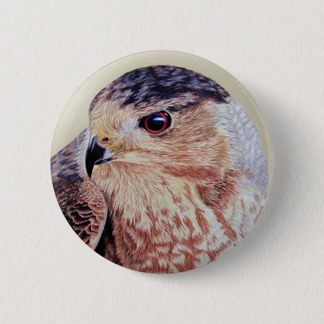 Coopers Hawk Button (Front)