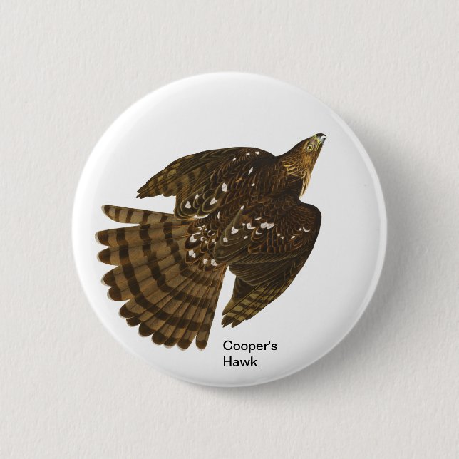 Cooper's Hawk by John James Audubon, Hawk Bird Button (Front)