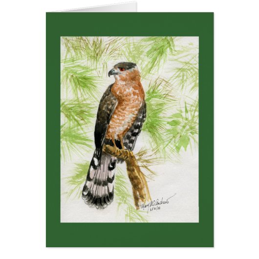 "Coopers Hawk" Cards (Front)