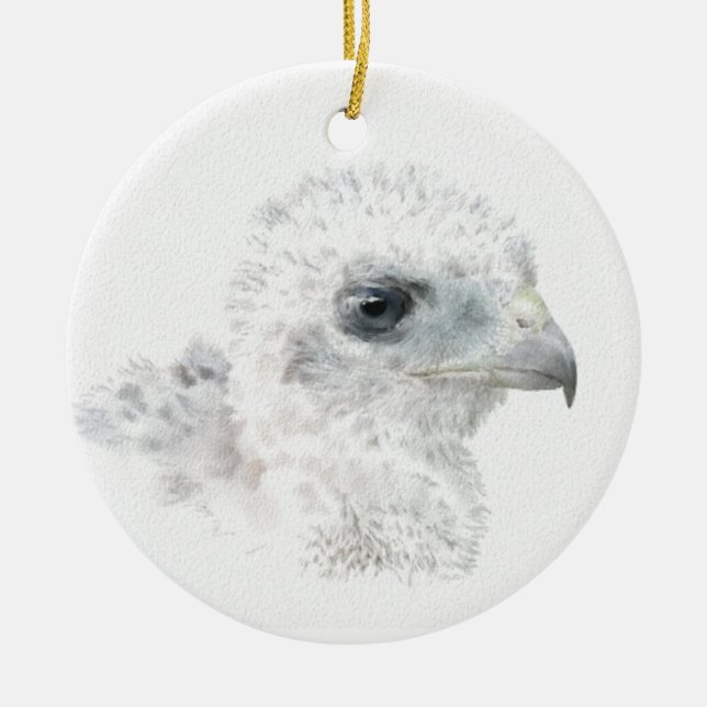 Coopers Hawk Chick Ceramic Ornament (Front)