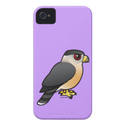 Cooper's Hawk Case-Mate iPhone 4 Barely There Universal Case