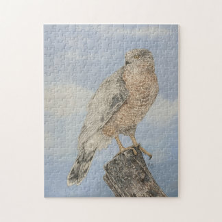 Cooper's Hawk Jigsaw Puzzle