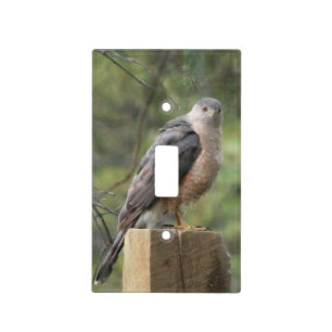 Cooper's Hawk Light Switch Cover