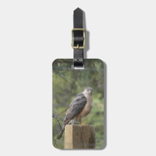 Cooper's Hawk Luggage Tag