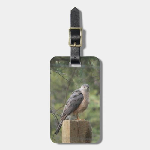 Coopers Hawk Luggage Tag