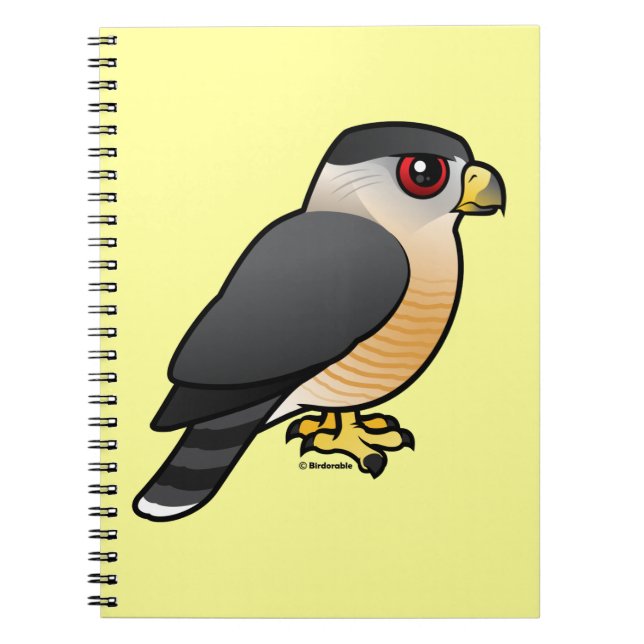 Cooper's Hawk Notebook (Front)