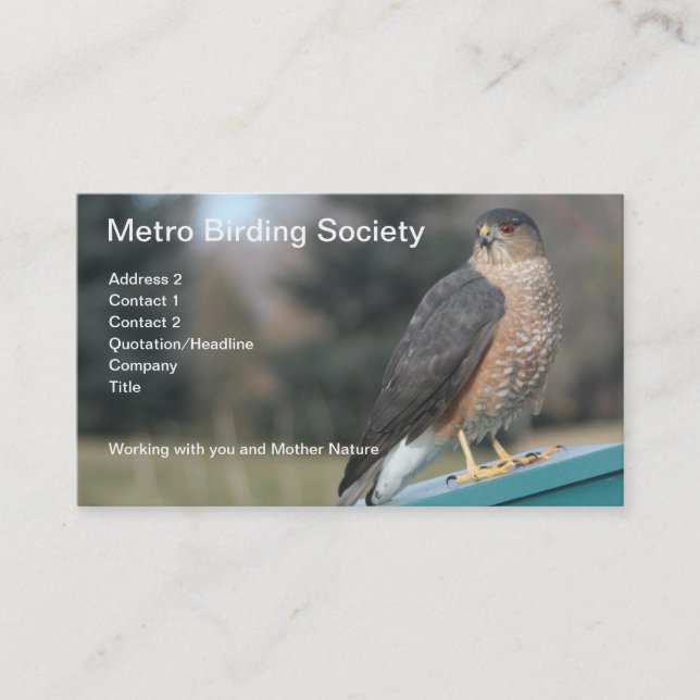 Cooper's Hawk Photo Appointment Card (Front)