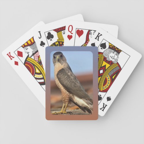 Coopers Hawk Playing Cards
