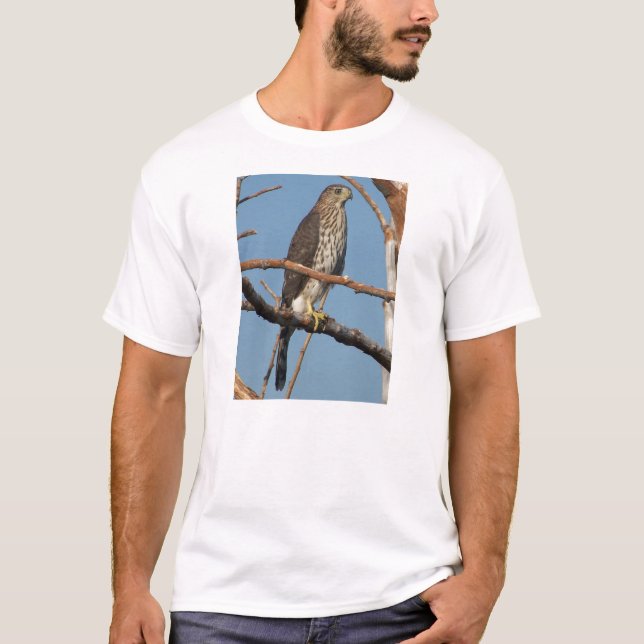 Coopers Hawk T-Shirt (Front)