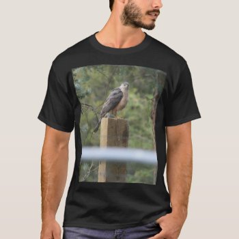 Cooper's Hawk T-shirt by BuzBuzBuz at Zazzle