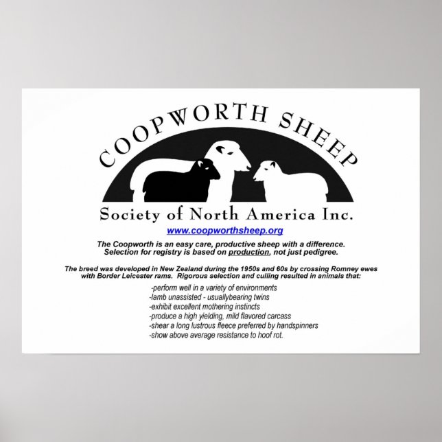 Coopworth Sheep Poster (Front)