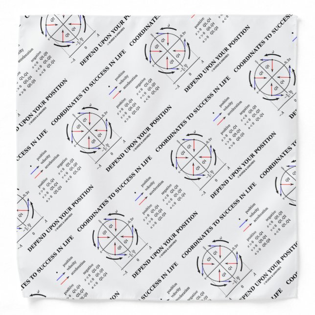 Coordinates To Success In Life Position Physics Bandana (Front)