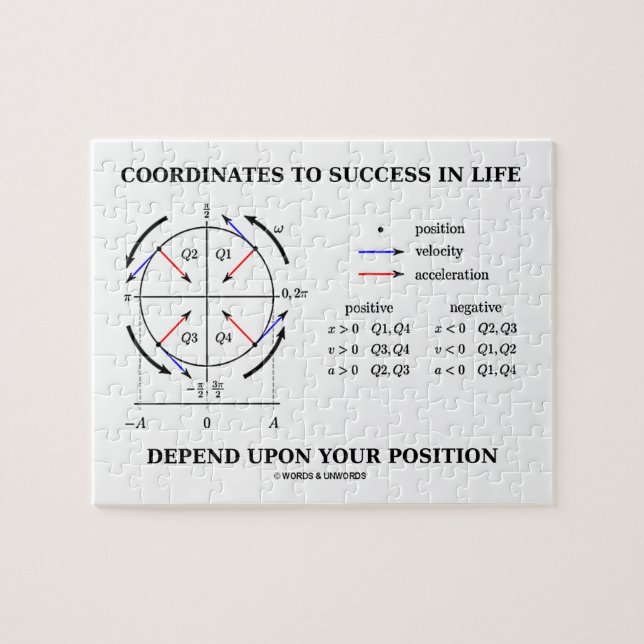 Coordinates To Success In Life Position Physics Jigsaw Puzzle (Horizontal)
