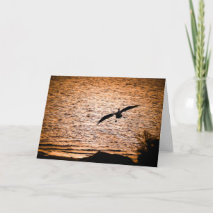 Coorong Pelican on Dusk Card
