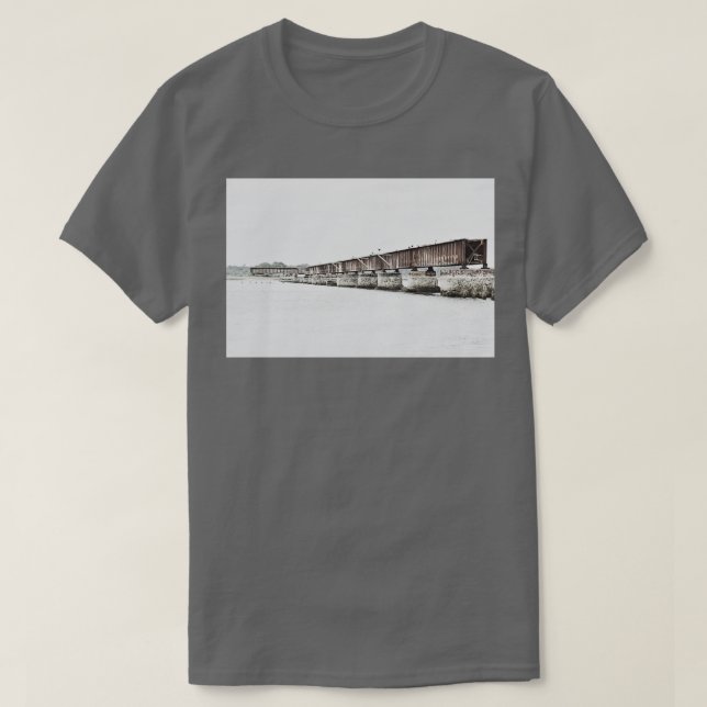 Coosawhatchie South Carolina Old Railroad Trestle  T-Shirt (Design Front)