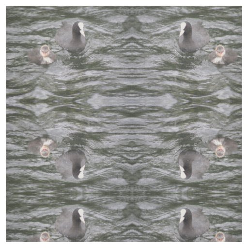 Coot and Chick Patterned Animal Fabric