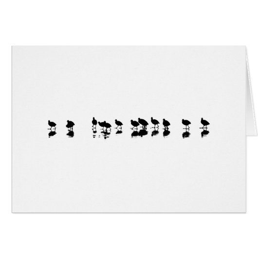 Coot Design - Black on White (Front Horizontal)