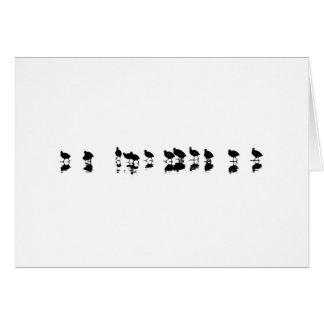 Coot Design - Black on White Cards
