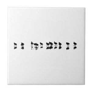 Coot Design - Black on White Ceramic Tile