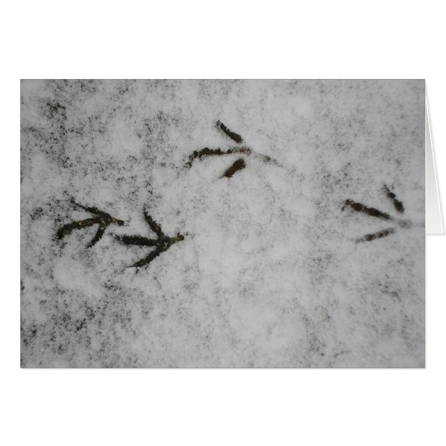 Coot Footprints In The Snow Cards (Front Horizontal)
