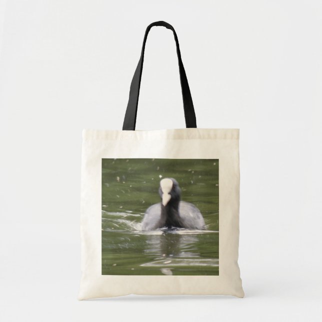 Coot Swimming Bag (Front)