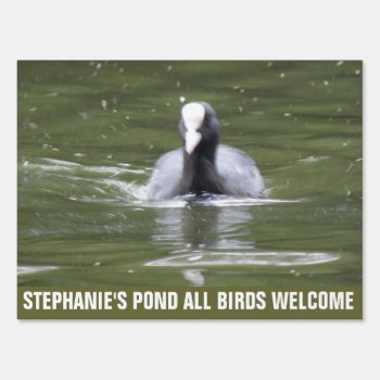 Coot Swimming Custom Pond Sign by Fallen_Angel_483 at Zazzle