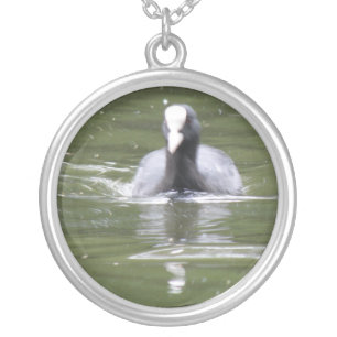 Coot Swimming Necklace