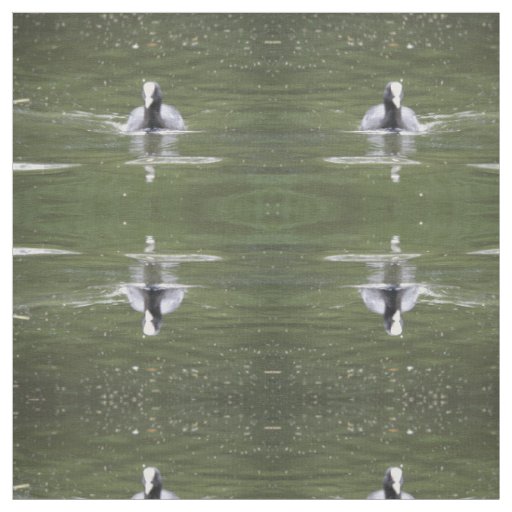 Coot Swimming Patterned Animal Fabric