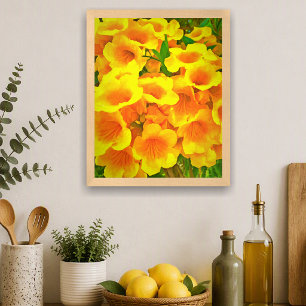 Copa de Oro Yellow Tropical Flower Art Print