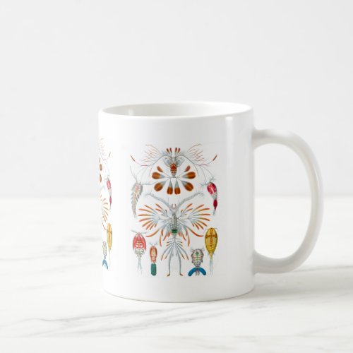 Copepods Coffee Mug