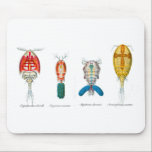 Copepods Mouse Pad<br><div class="desc">Copepods. Small crustaceans from the sea and nearly every freshwater habitat. Many species are planktonic.</div>