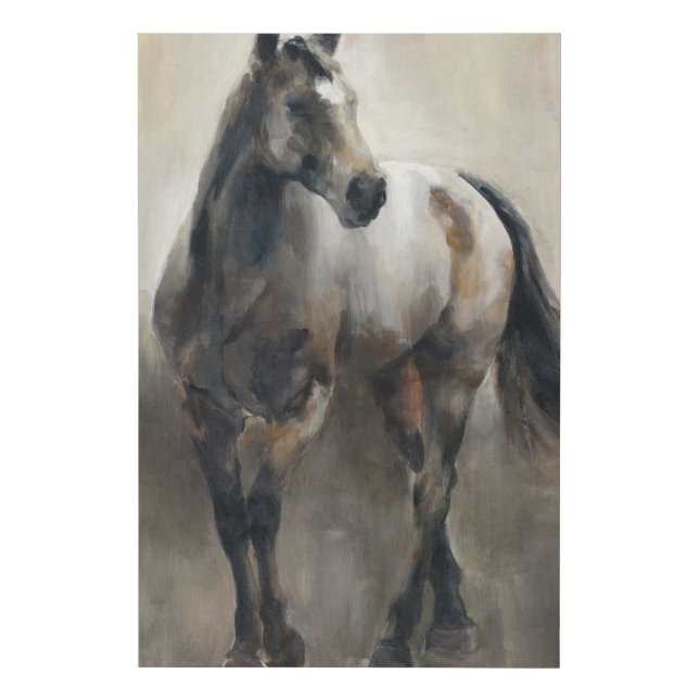 Copper and Nickel Faux Canvas Print (Front)