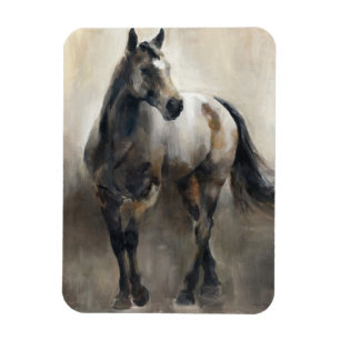 Copper and Nickel Magnet