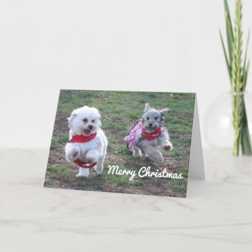 Copper and Penny Christmas Card