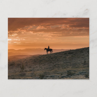 Copper Canyon Anniversary Invitation - Rich Metall