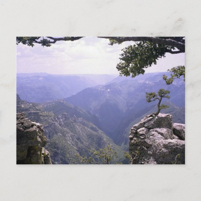 Copper Canyon Postcard (Front)