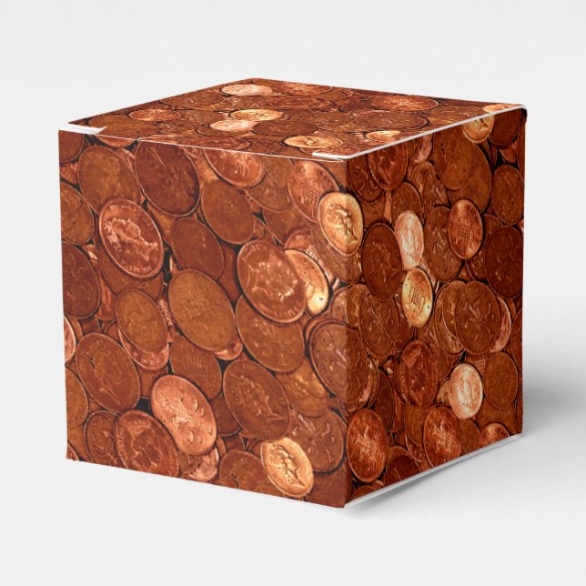Copper Coins Novelty Money Personal Favor Box (Front Side)