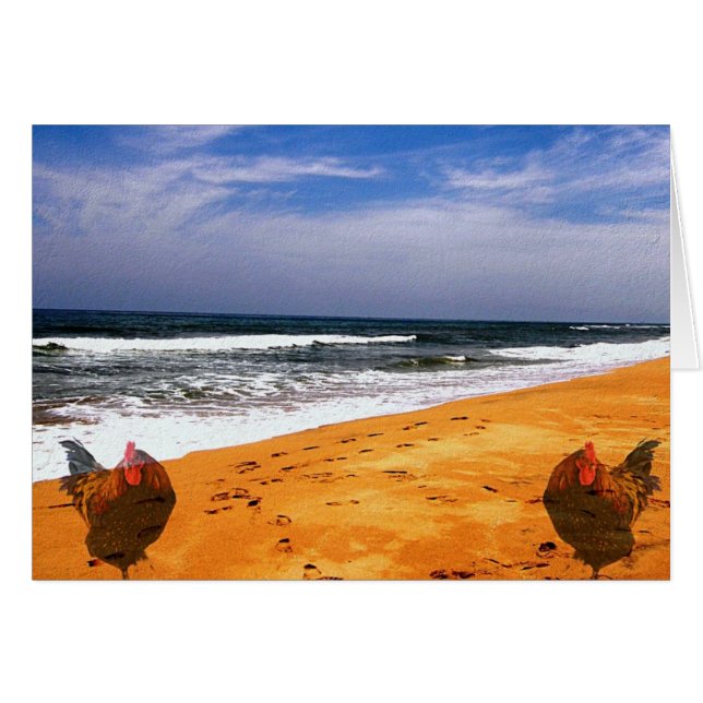 Copper Goes To the Beach Cards (Front Horizontal)