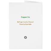 Copper Iris Cards (Back)