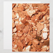 Copper Metal Chips (Front/Back)