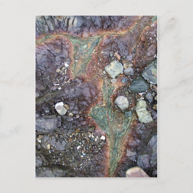 Copper New Zealand Postcard (Front)