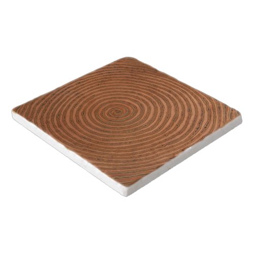 Copper Spiral Trivet