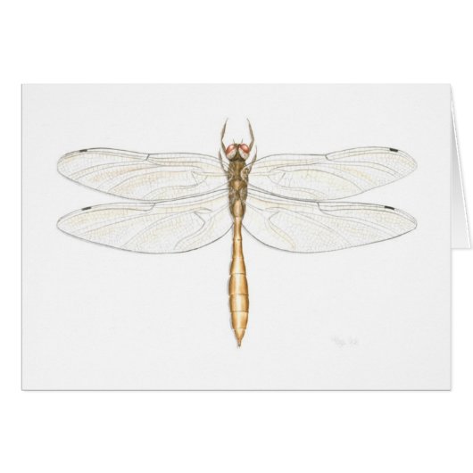 Coppery Emerald Dragonfly Card (Front Horizontal)