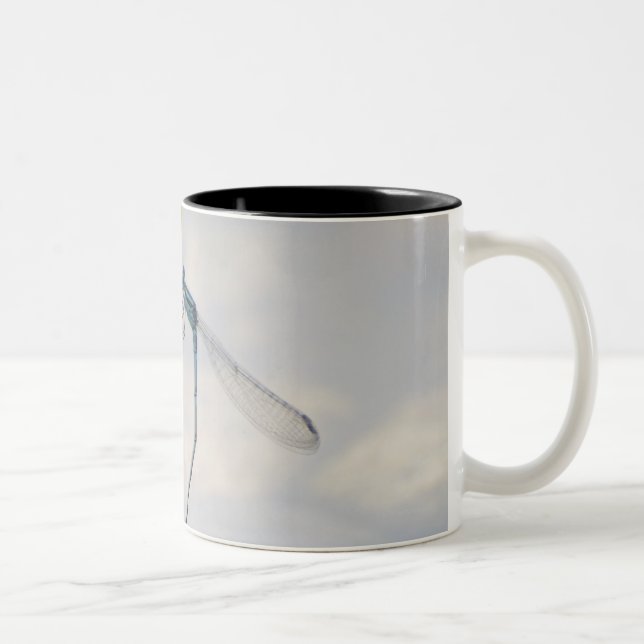 Copulation of Damselflies Two-Tone Coffee Mug (Right)