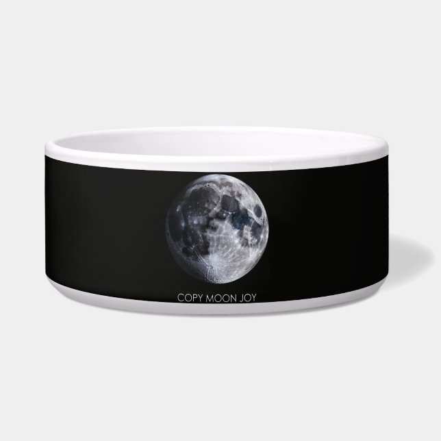 Copy Moon Joy Bowl (Front)