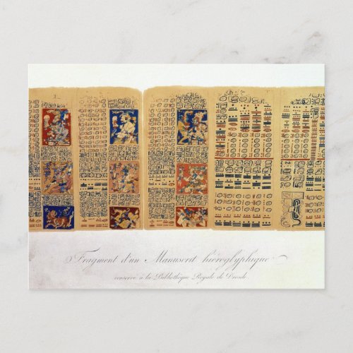 Copy of a fragment of the Dresden Codex Postcard