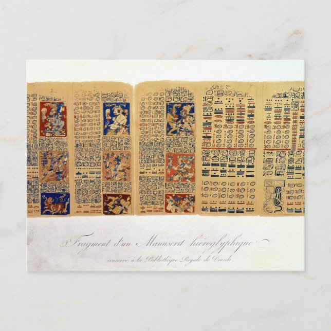 Copy of a fragment of the Dresden Codex Postcard (Front)