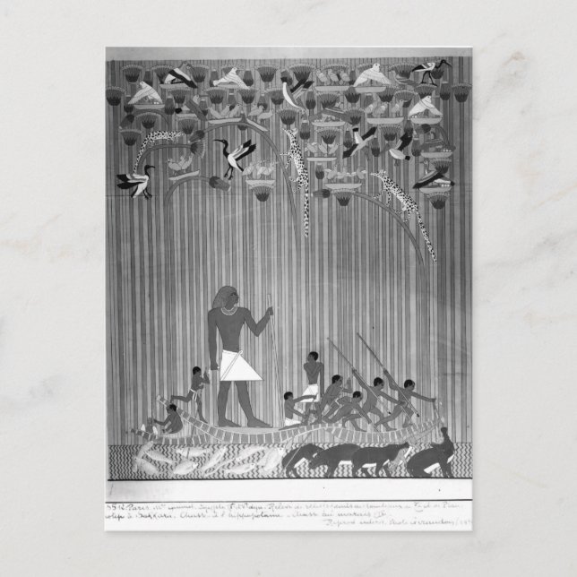 Copy of Egyptian painted relief depicting Fishing Postcard (Front)